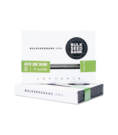 Семена сорта Auto Lime Skunk fem