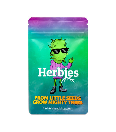 Семена сорта Runtz Punch fem (Herbies Seeds)