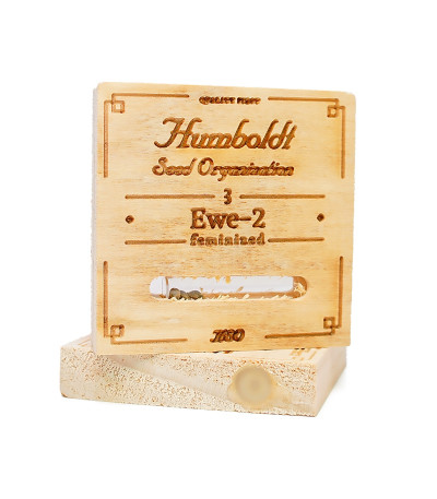 Семена сорта Ewe-2 fem