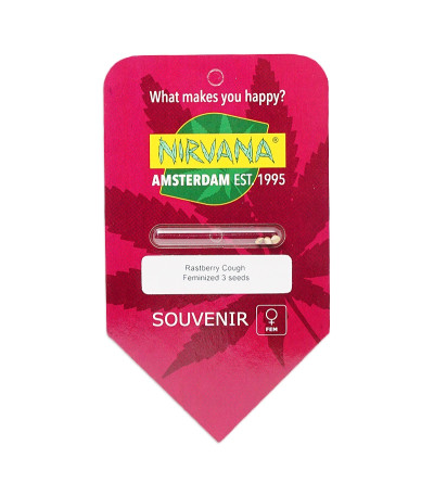 Семена сорта Raspberry Cough fem (Nirvana Seeds)