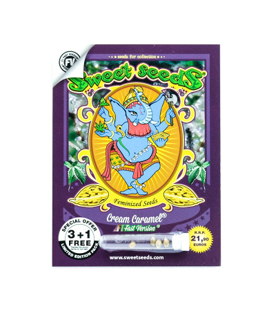 Семена сорта Cream Caramel F1 Fast Version fem (Sweet Seeds)