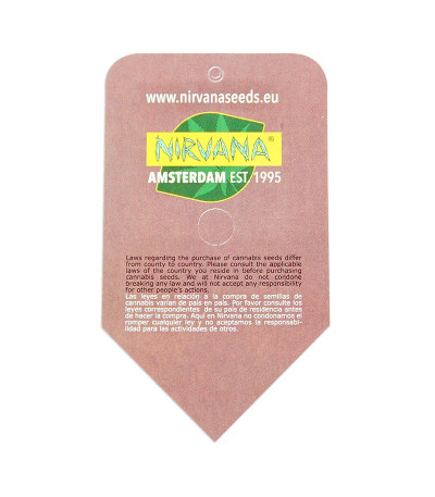 Семена сорта Mango Skunk reg (Nirvana Seeds)