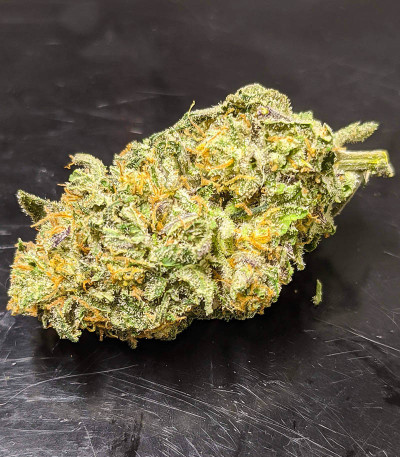 Семена сорта Dozy Cookies fem (AlphaFem Seeds)