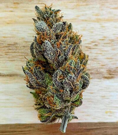 Семена сорта Punchberry Cookies RBX fem (Ethos Genetics)