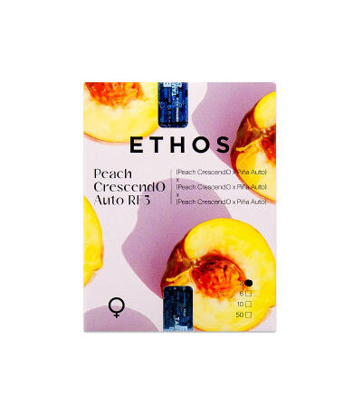 Семена сорта Peach Crescendo Auto RF3 fem (Ethos Genetics)