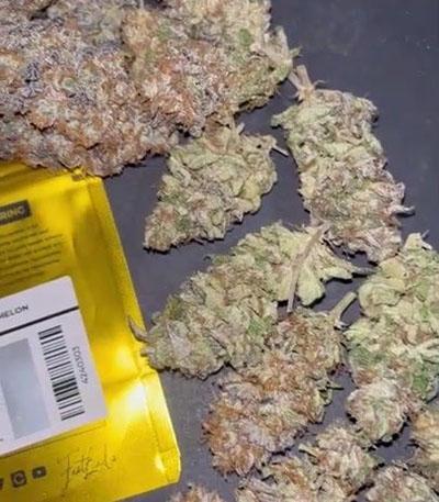 Семена сорта Rainbow Melon fem (FastBuds)