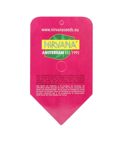 Семена сорта Blue Mystic fem (Nirvana Seeds)