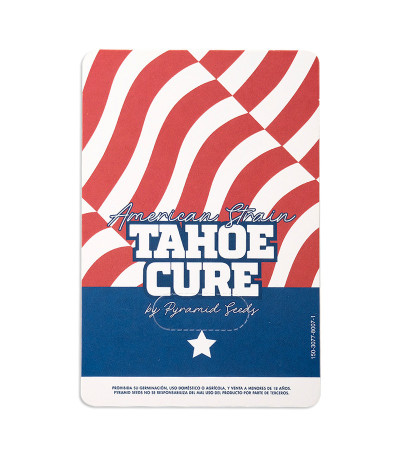 Семена сорта Tahoe Cure fem (Pyramid Seeds)