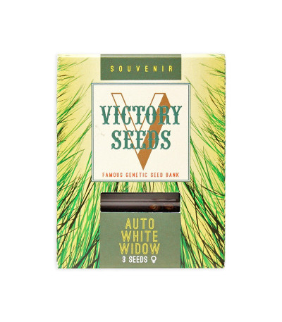 Семена сорта Auto White Widow fem (Victory Seeds)
