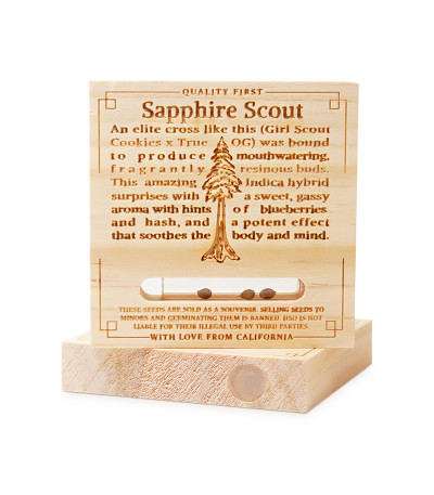 Семена сорта Sapphire Scout fem (Humboldt Seeds)