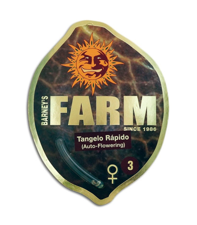 Семена сорта Tangelo Rapido Auto fem