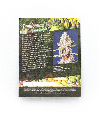 Семена сорта Tropicanna Poison F1 Fast Version (Sweet Seeds)