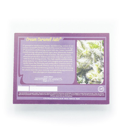 Семена каннабиса Cream Caramel Auto (Sweet Seeds) в оригинальной упаковке