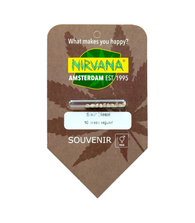 Семена сорта Sour Diesel (Sativa's Sour Diesel) reg