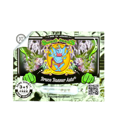 Семена сорта Bruce Banner Auto (Sweet Seeds)