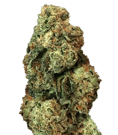 Семена Laughing Buddha шишки