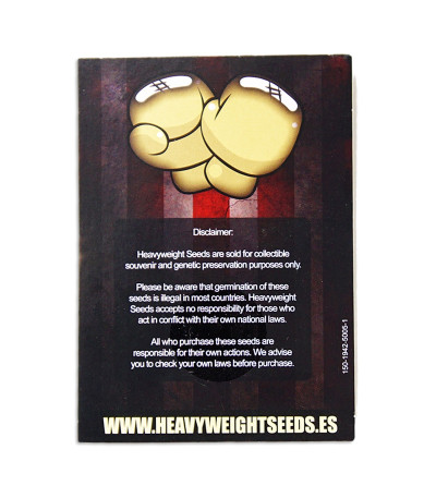 Семена сорта Dream Machine fem (Heavyweight Seeds)