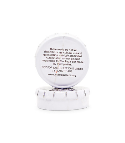 Семена конопли Blue Kush Autoflowering в оригинальной упаковке