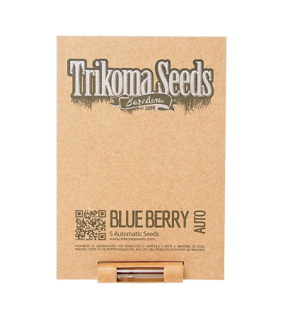 Семена сорта Blueberry Auto fem (Trikoma Seeds)