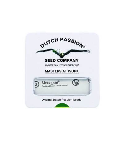 Семена сорта Meringue fem (Dutch Passion)