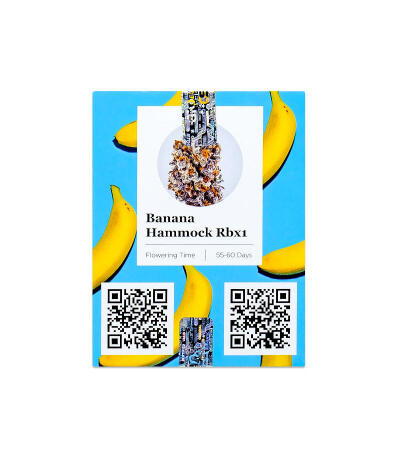 Семена сорта Banana Hammock RBX fem (Ethos Genetics)