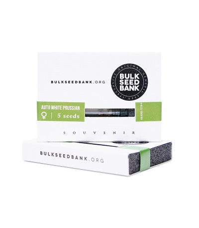 Семена сорта Auto White Prussian fem