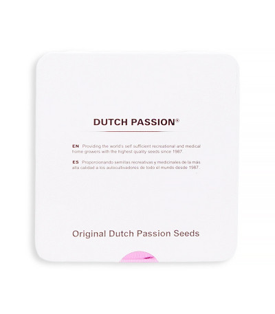 Семена сорта Tundra #2 Auto fem