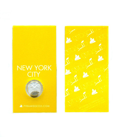 Семена сорта New York City fem (Pyramid Seeds)