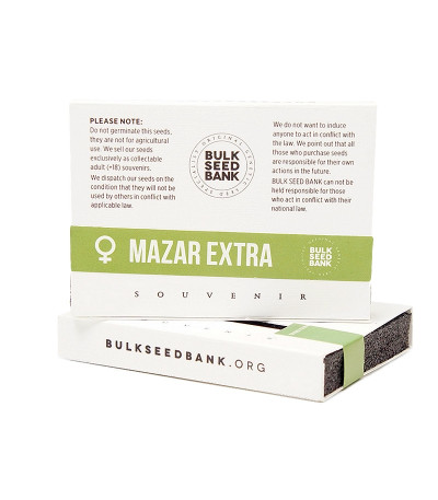 Семена сорта Mazar Extra fem