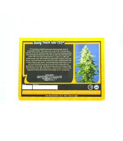 Семена сорта Honey Peach Auto CBD fem (Sweet Seeds)