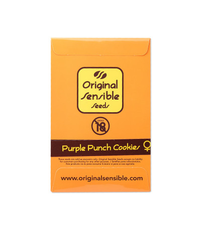 Семена сорта Purple Punch Cookies fem (Original Sensible Seeds)