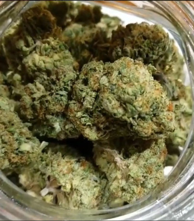 Сорт каннабиса Phantom OG