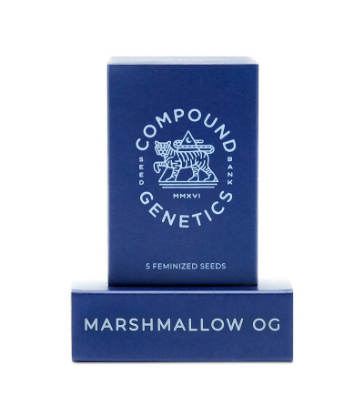 Семена сорта Marshmallow OG fem (Compound Genetics)