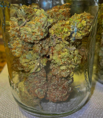 Семена сорта Candy Store RBX fem (Ethos Genetics)