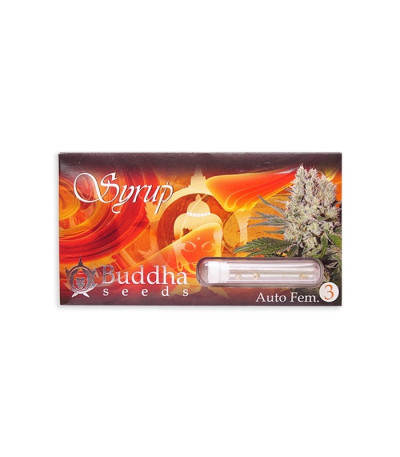 Семена сорта Buddha Syrup auto fem