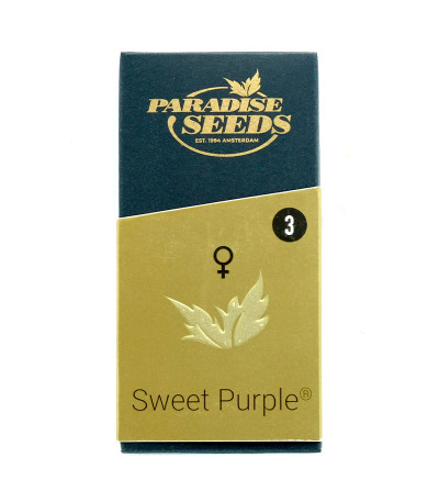 Семена сорта Sweet Purple fem (Paradise Seeds)