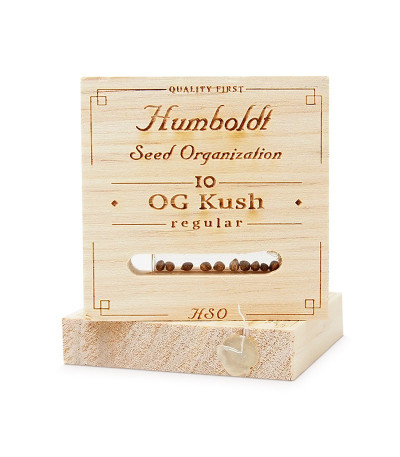 Семена конопли OG Kush reg в оригинальной упаковке