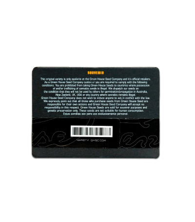 Семена сорта Super Critical Auto (Green House Seeds)