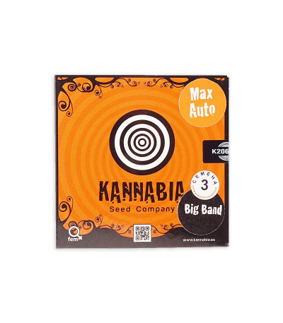 Семена сорта Big Band Max Auto