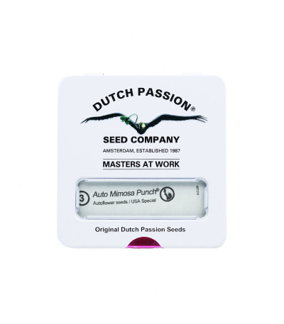 Семена сорта Auto Mimosa Punch fem (Dutch Passion)