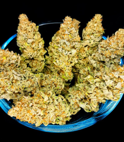 Семена сорта Monster Moby (Monster Genetics)