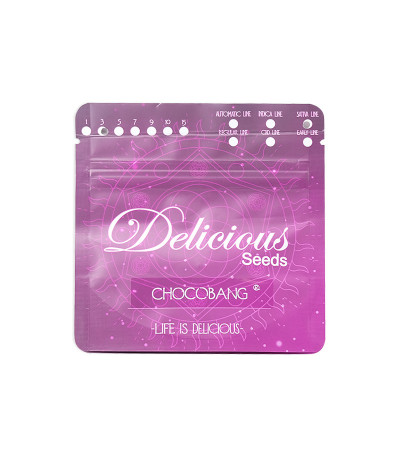 Семена сорта Chocobang fem (Delicious Seeds)