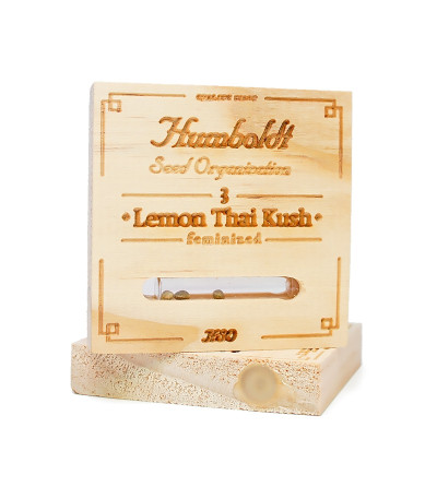 Семена сорта Lemon Thai Kush fem