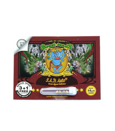 Семена сорта S.A.D. Sweet Afgani Delicious Auto fem (Sweet Seeds)