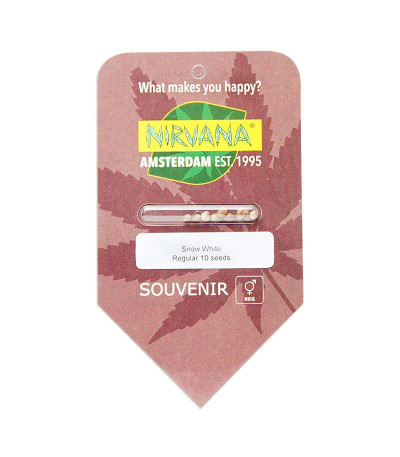 Семена сорта Big Bud (Snow White) reg (Nirvana Seeds)