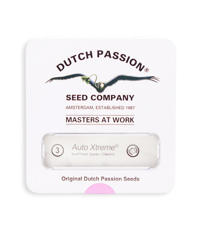 Семена сорта Auto Xtreme fem (Dutch Passion)