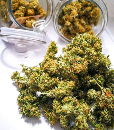 Семена сорта Auto AK-77V fem (Victory Seeds)