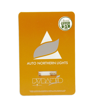 Семена сорта Auto Northern Lights fem (Pyramid Seeds)