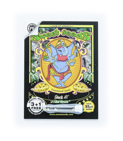 Семена сорта Jack 47 F1 Fast Version fem (Sweet Seeds)