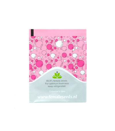 Семена марихуаны BubbleGummer в оригинальной упаковке 